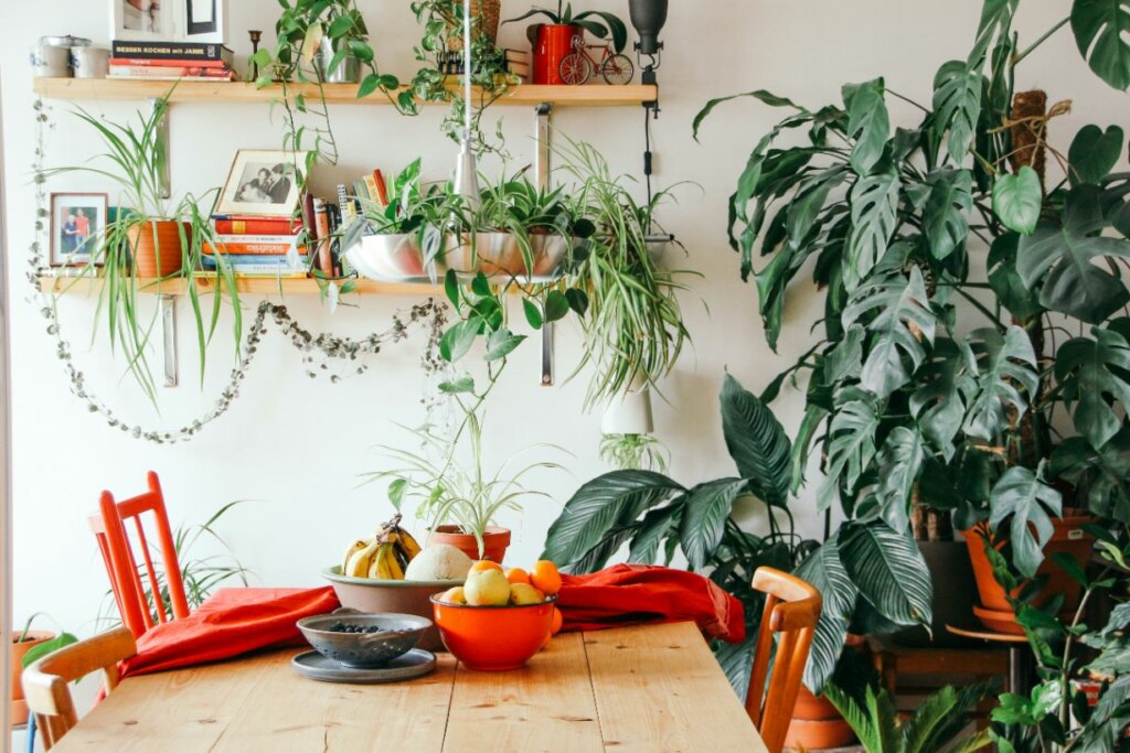 A cozy dining area filled with lush green plants and a wooden table with a bowl of fruit, red chairs, and decorative shelves.