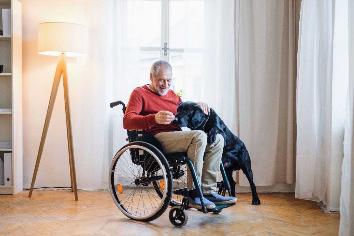 Senior disabled man and his pet dog